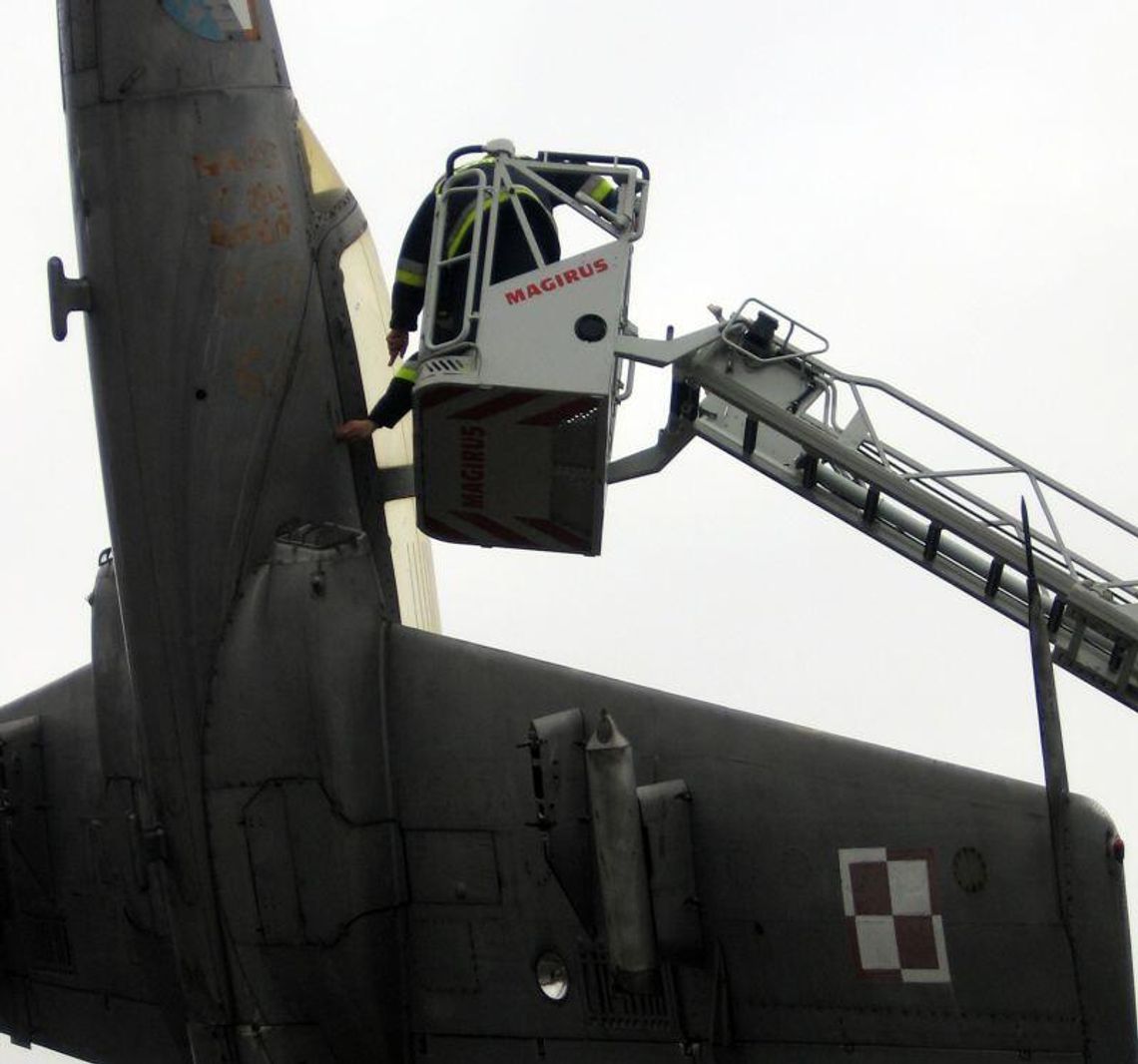 Strażacy ruszyli na pomoc ptakom: Oswobodzili kawki z samolotu