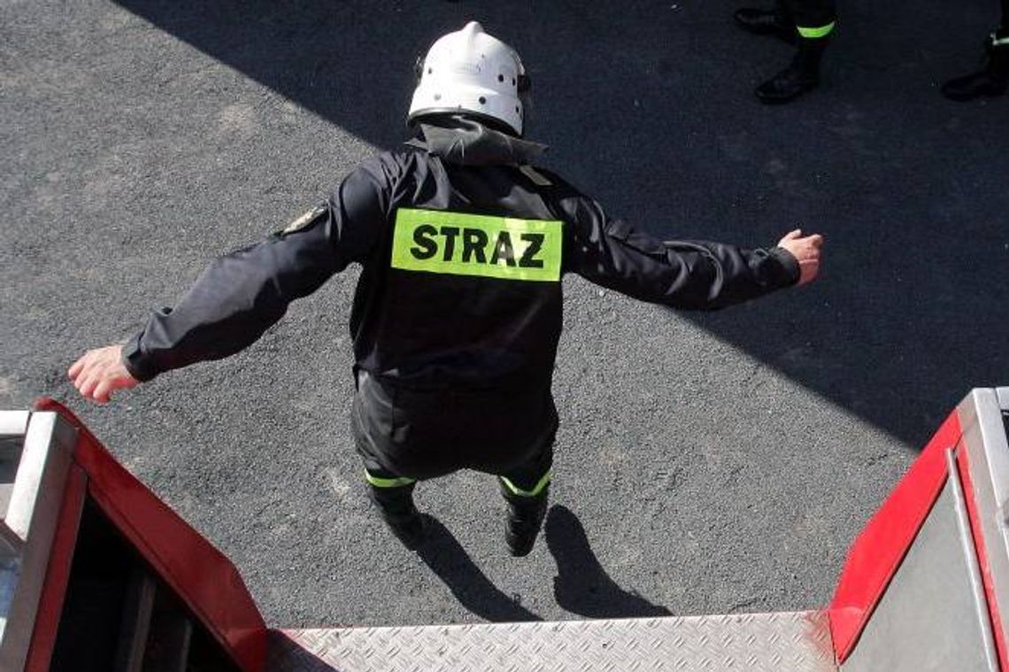 Strażacy uratowali kota z 15-metrowej studni