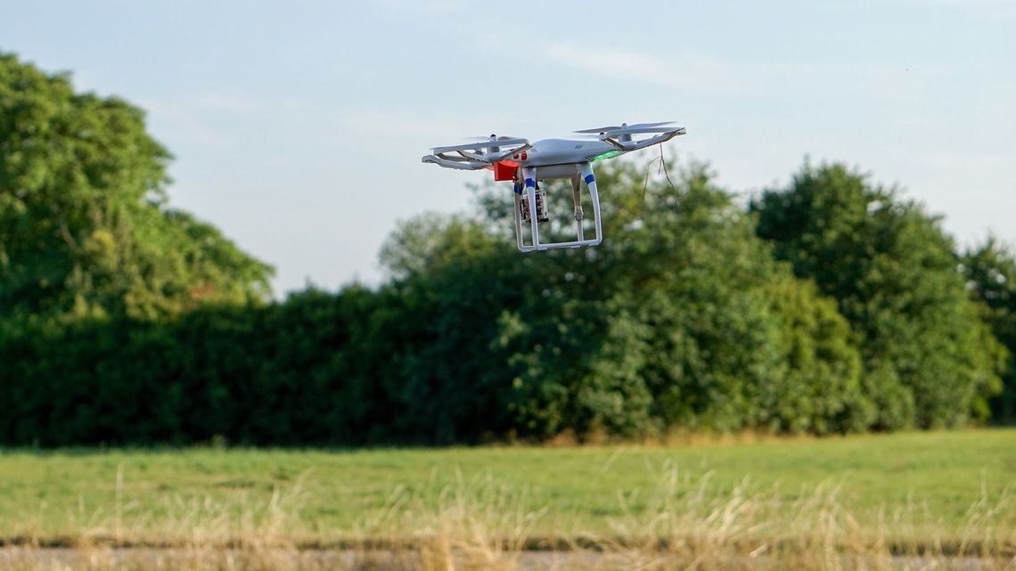 Strażacy z Zamościa czegoś takiego z drzewa jeszcze nie ściągali