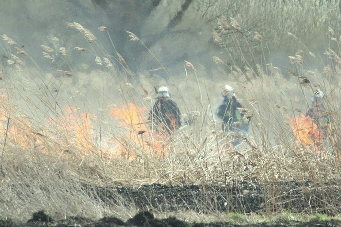 Strażacy znaleźli ciało podczas gaszenia pożaru traw