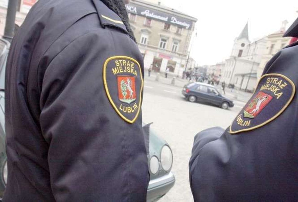 Strażnicy miejscy już nie robią zdjęć kierowcom. Teraz będą łapać bezdomne psy