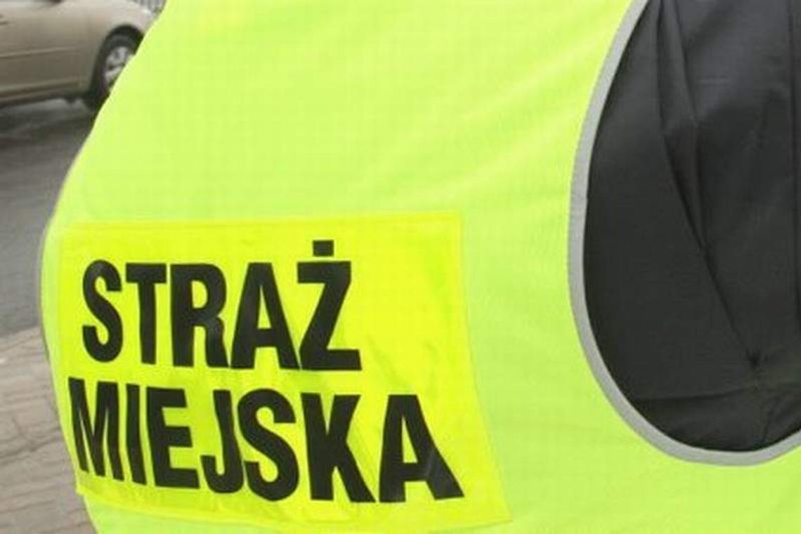 Strażnicy miejscy kierowcy nie bili. "Już się dogadaliśmy i przeprosiliśmy"