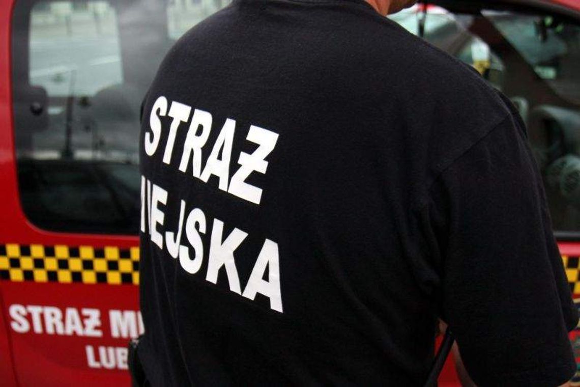 Strażnicy miejscy poturbowali kierowcę? Usłyszeli zarzuty