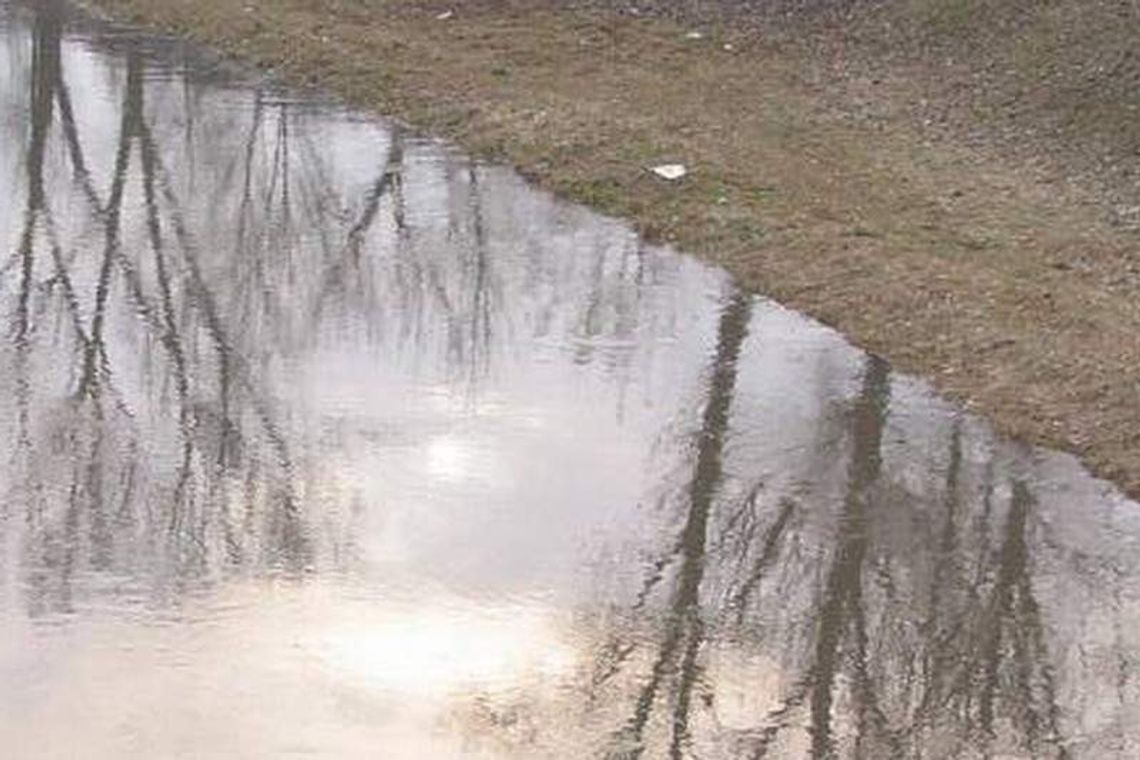 Strażnicy miejscy wyciągnęli z rzeki mężczyznę Strażnicy miejscy wyciągnęli z rzeki mężczyznę