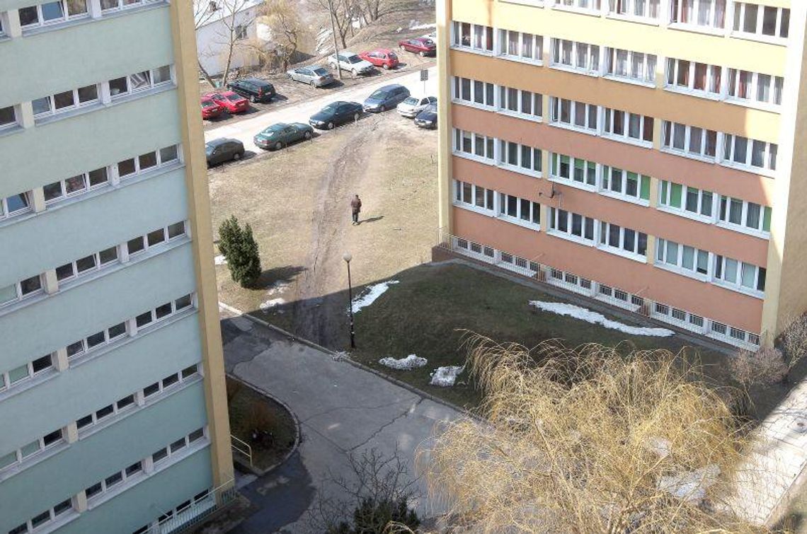 Strefa grillowania na miasteczku, więcej zieleni przy Politechnice Strefa grillowania na miasteczku, więcej zieleni przy Politechnice