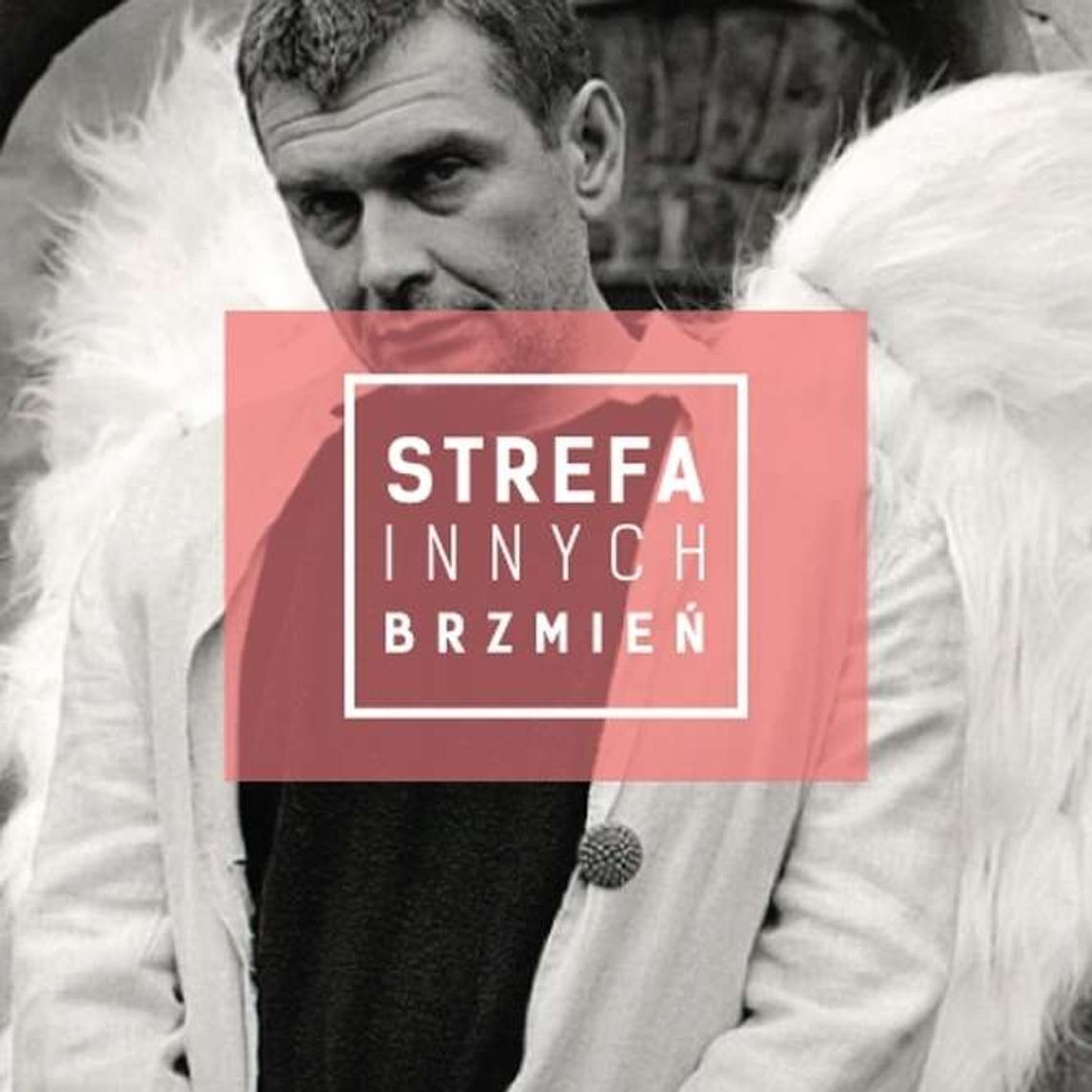 Strefa Innych Brzmień: Zgniłość w Warsztatach Kultury