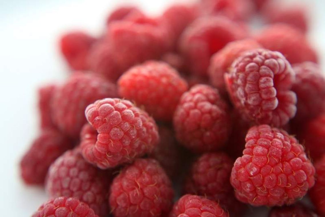 Strefa Inwestycji Kraśnik: Ruszyła budowa przetwórni