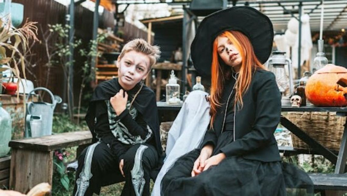 Stroje na Halloween 2024