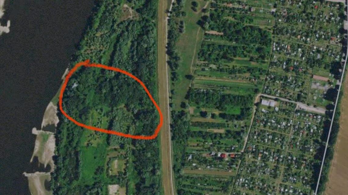 Strzały nad Wisłą w Puławach. Zaniepokojeni mieszkańcy wezwali policję