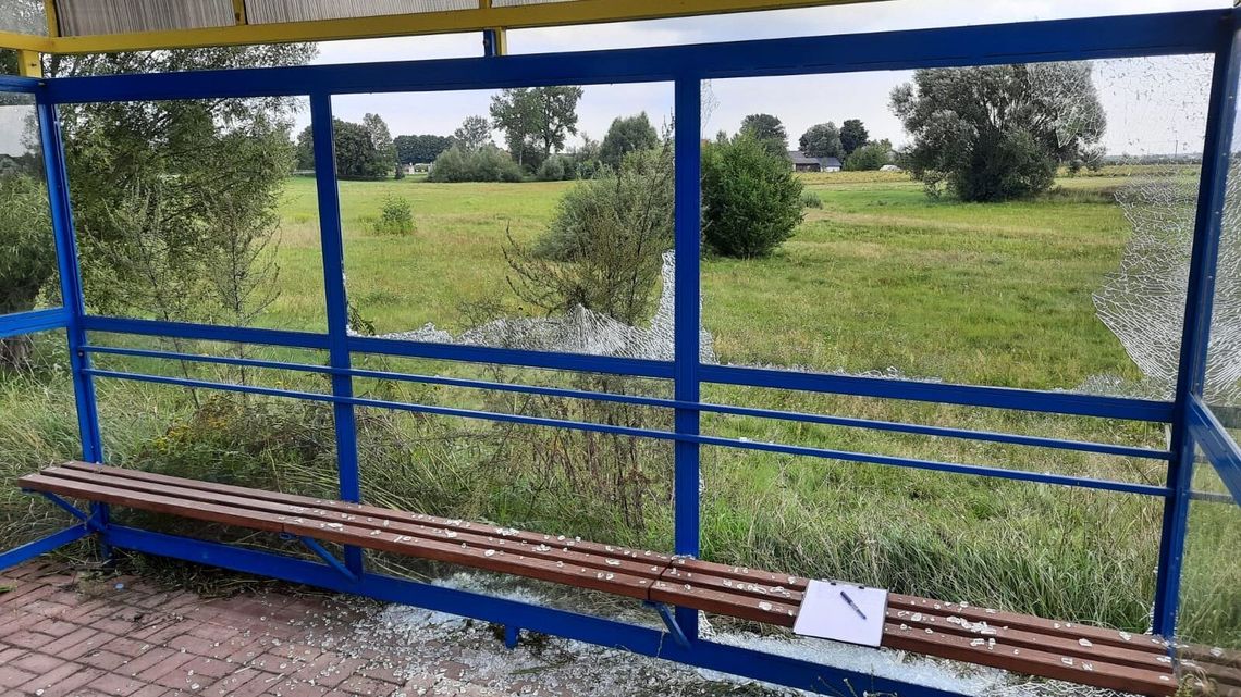 Strzelał do wiat przystankowych, bo pokłócił się z dziewczyną Strzelał do wiat przystankowych, bo pokłócił się z dziewczyną