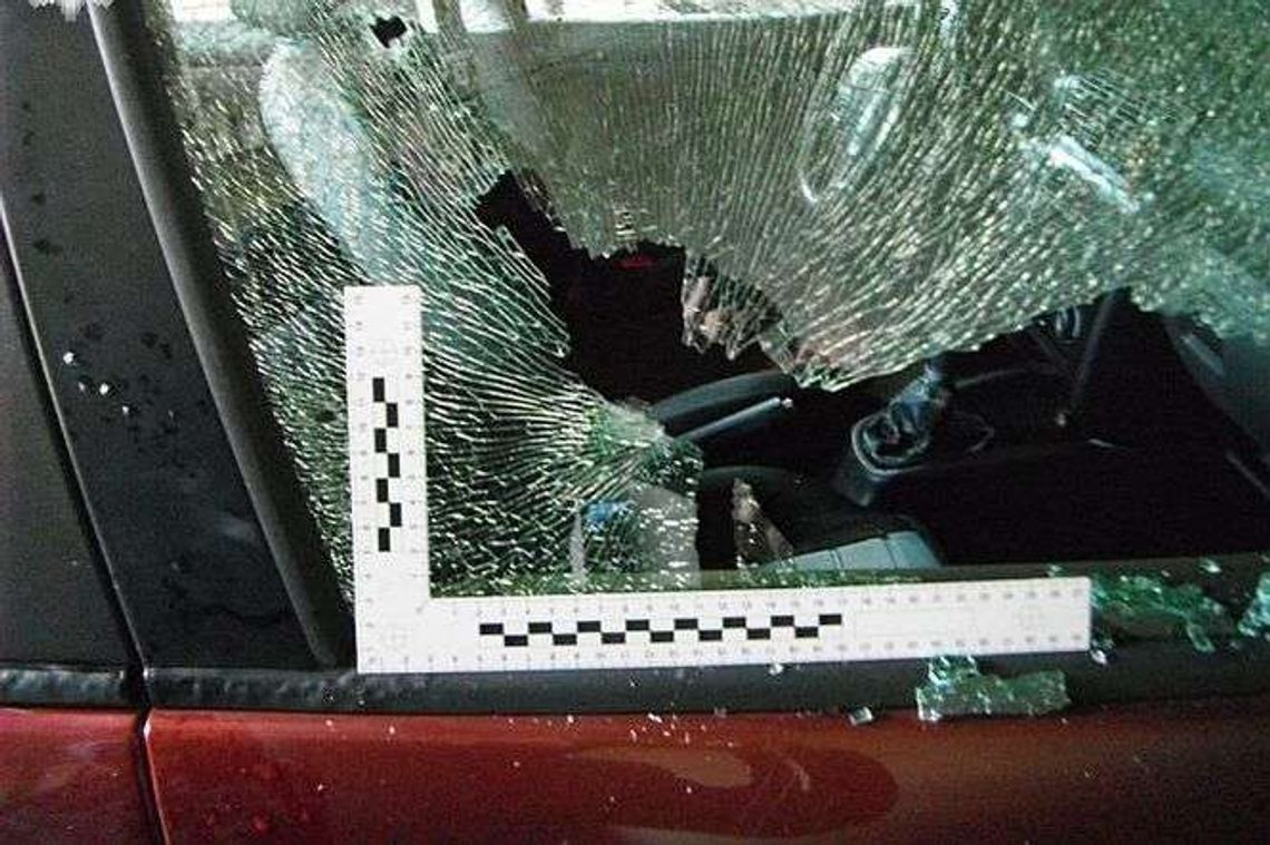 Strzelali z wiatrówki do budynków i samochodów. Wybijali szyby