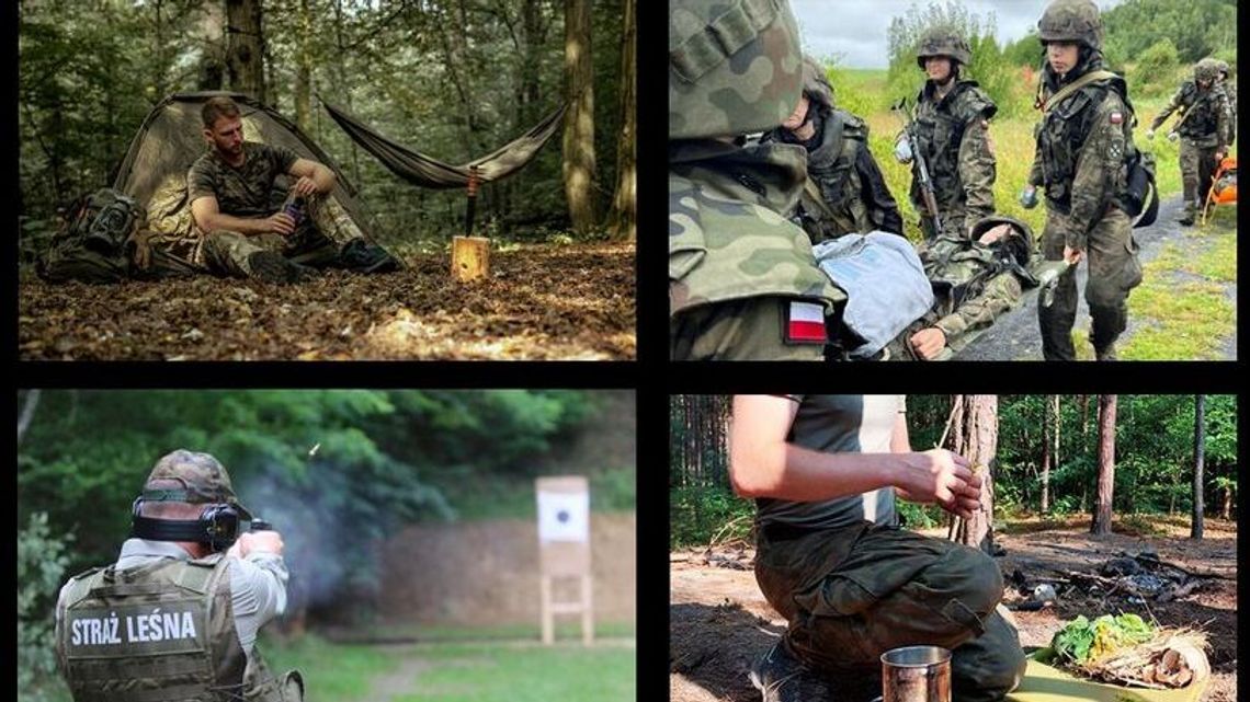 Strzelnicy nie będzie, ale las został wycięty. Kto za to odpowiada? Strzelnicy nie będzie, ale las został wycięty. Kto za to odpowiada?