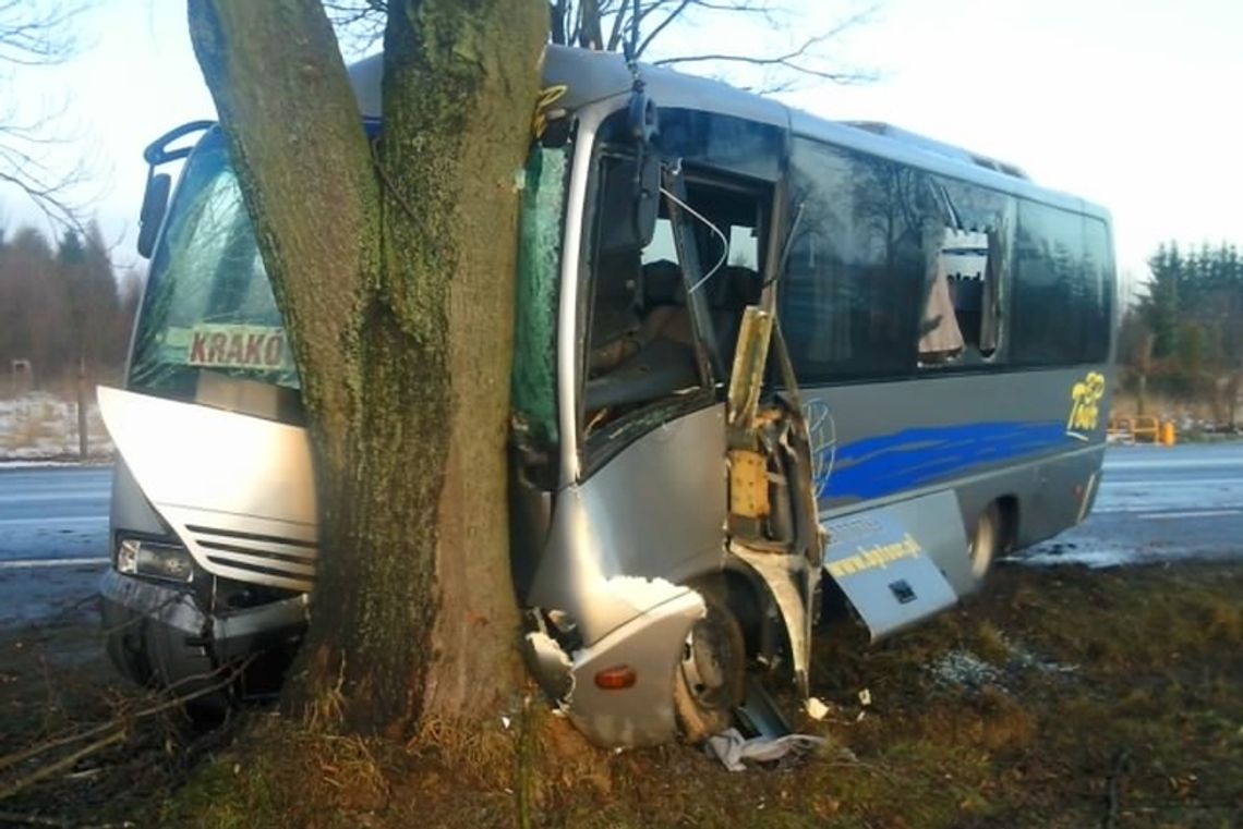 Strzeszkowice Duże: Bus uderzył w drzewo. 5 osób w szpitalu