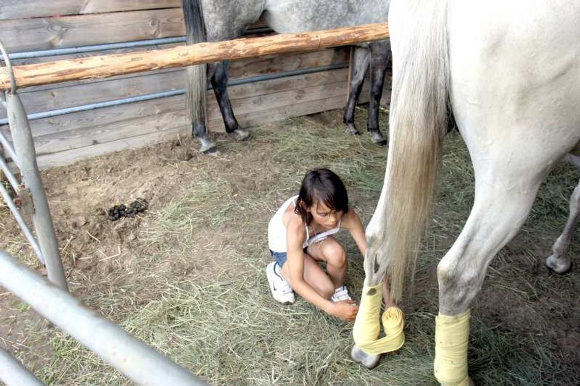 Strzyżenie owiec, dojenie krowy. Szkoły jadą na wieś