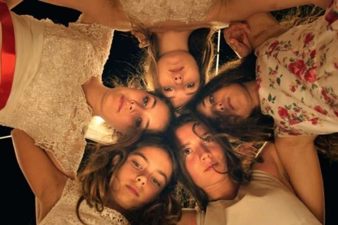 Studenckie Konfrontacje Filmowe w Chatce Żaka (program) Studenckie Konfrontacje Filmowe w Chatce Żaka (program)