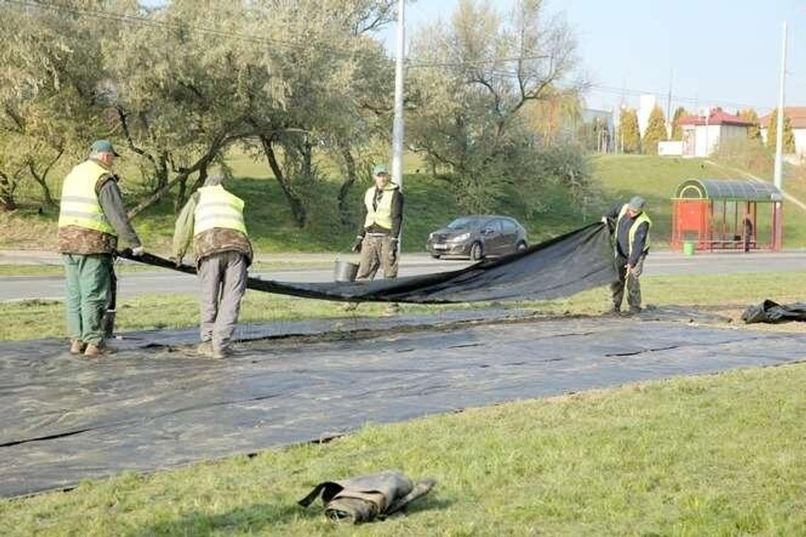 Studenckie pomysły na ozdabianie rond w Lublinie Studenckie pomysły na ozdabianie rond w Lublinie