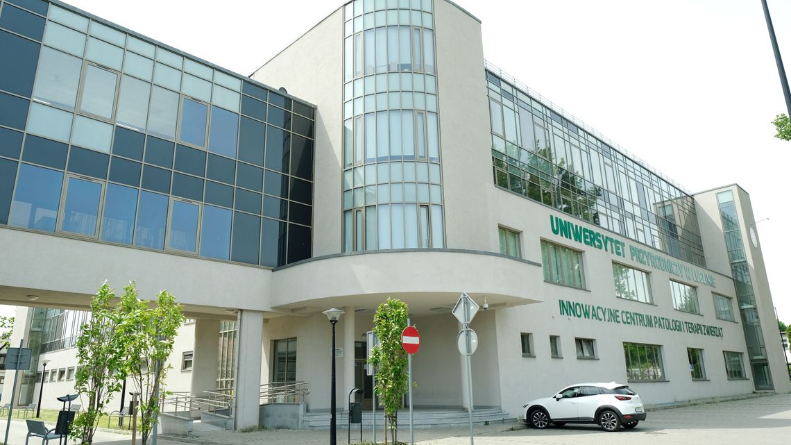 Studia w dobie pandemii