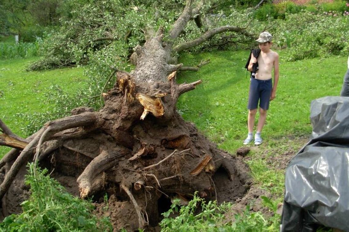 Suchodoły: Wichura uszkodziła dachy, wyrwała drzewa