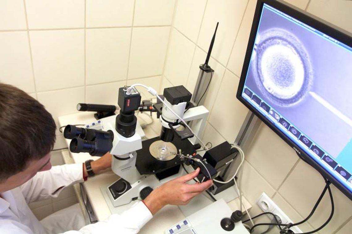 Sukces programu in vitro. 8 tys. par z Polski, kilkadziesiąt z Lublina Sukces programu in vitro. 8 tys. par z Polski, kilkadziesiąt z Lublina