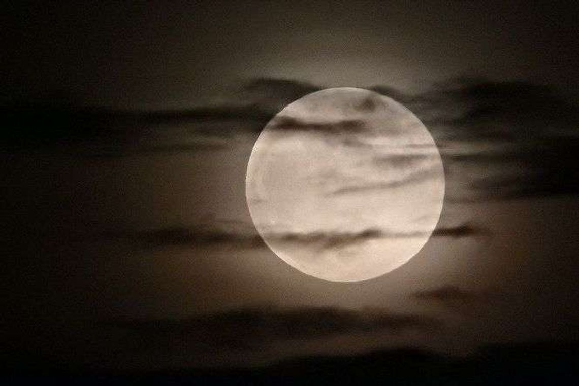 Superksiężyc 2018. Super Blue Blood Moon [zdjęcia]