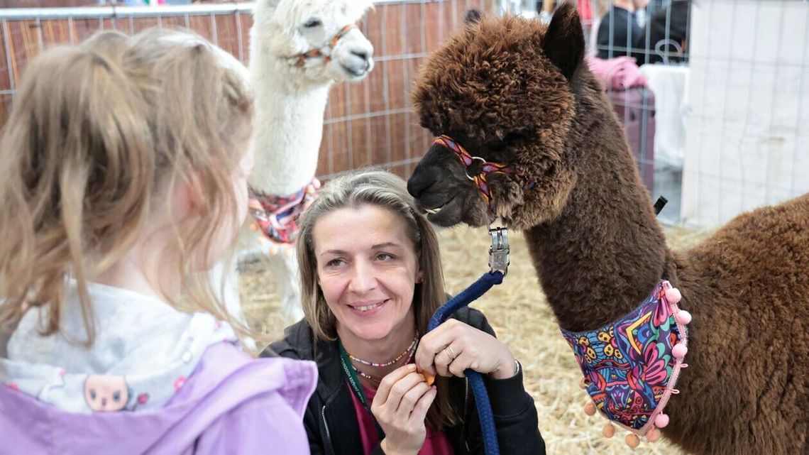 Surykatki, renifery i wyścigi ślimaków - w Lublinie trwa zoopark