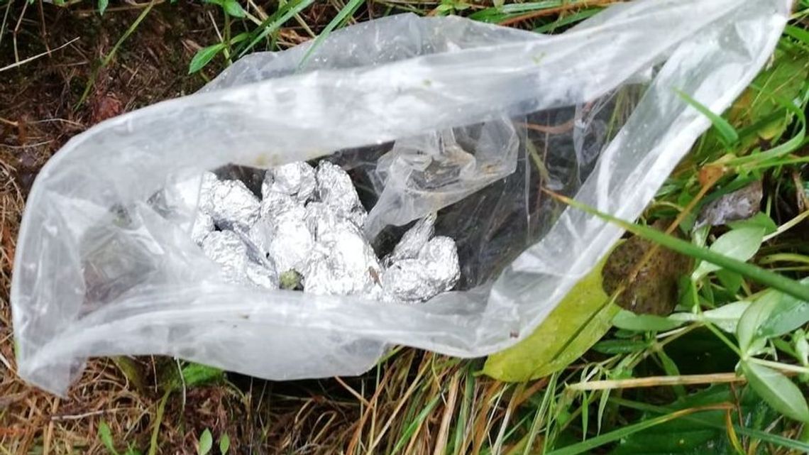 Susiec: Zawiniątko zakopane w lesie kryło nielegalną substancję