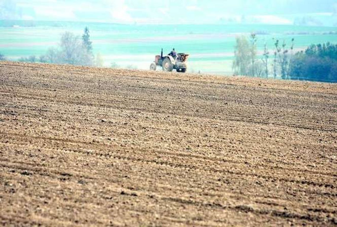 Susza. Będzie pomoc finansowa dla rolników?