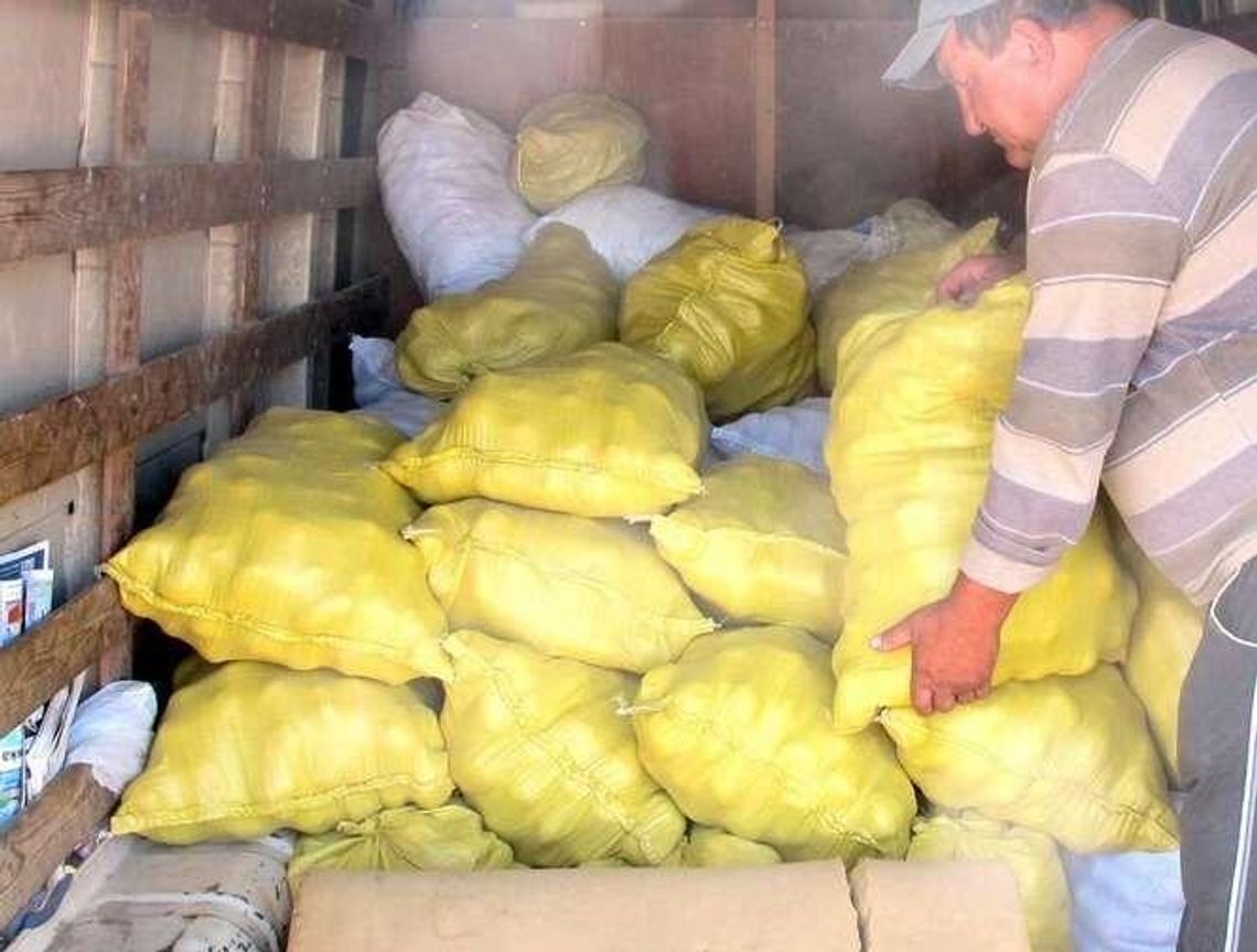 Susza w woj. lubelskim. Rolnik nieubezpieczony straci więcej