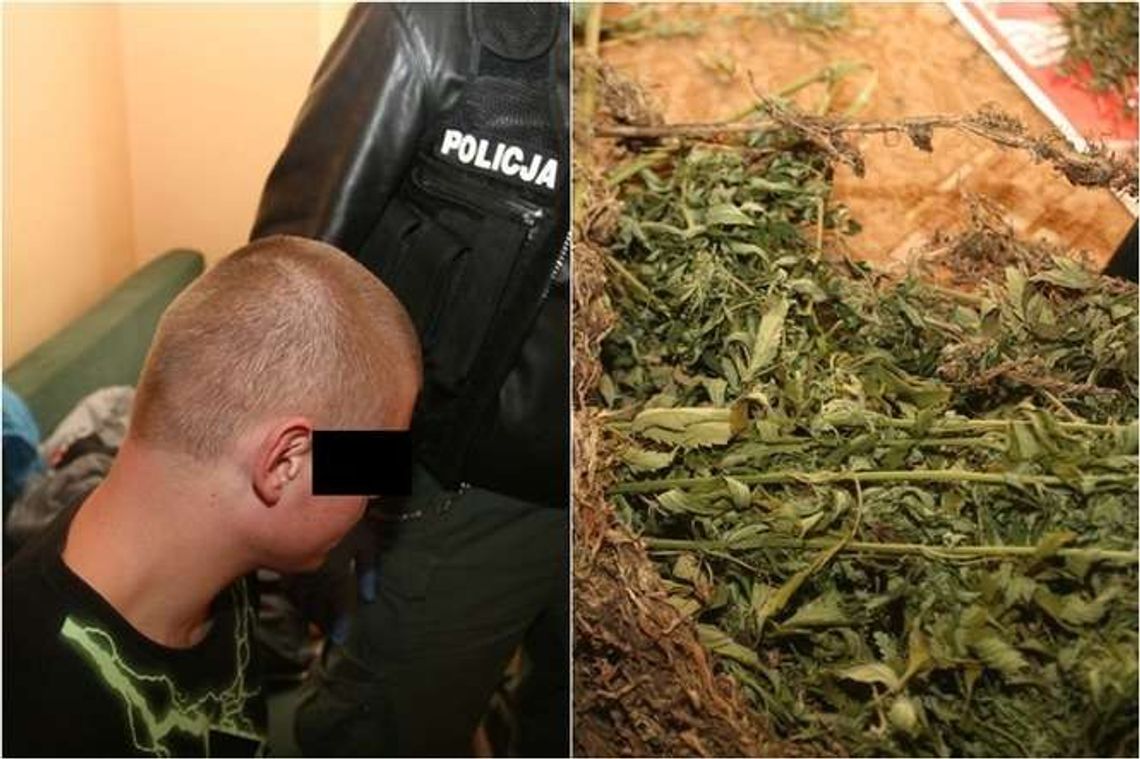 Suszarnia konopi w centrum Lublina. 22-latek miał 4 kg marihuany