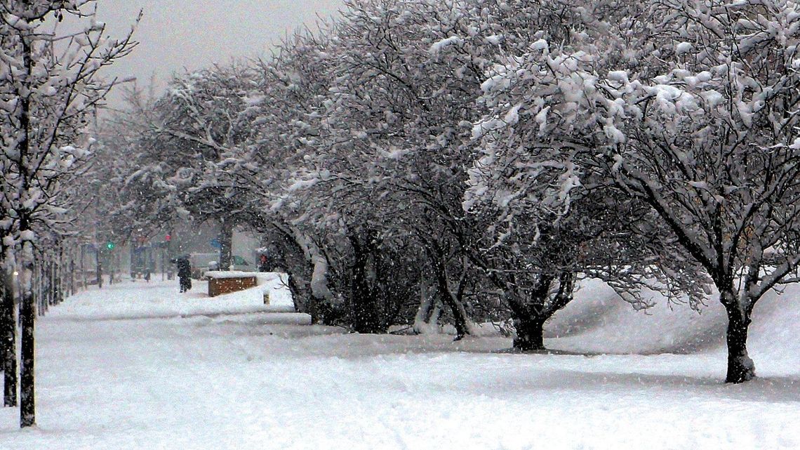 Suszy w tym roku nie będzie?