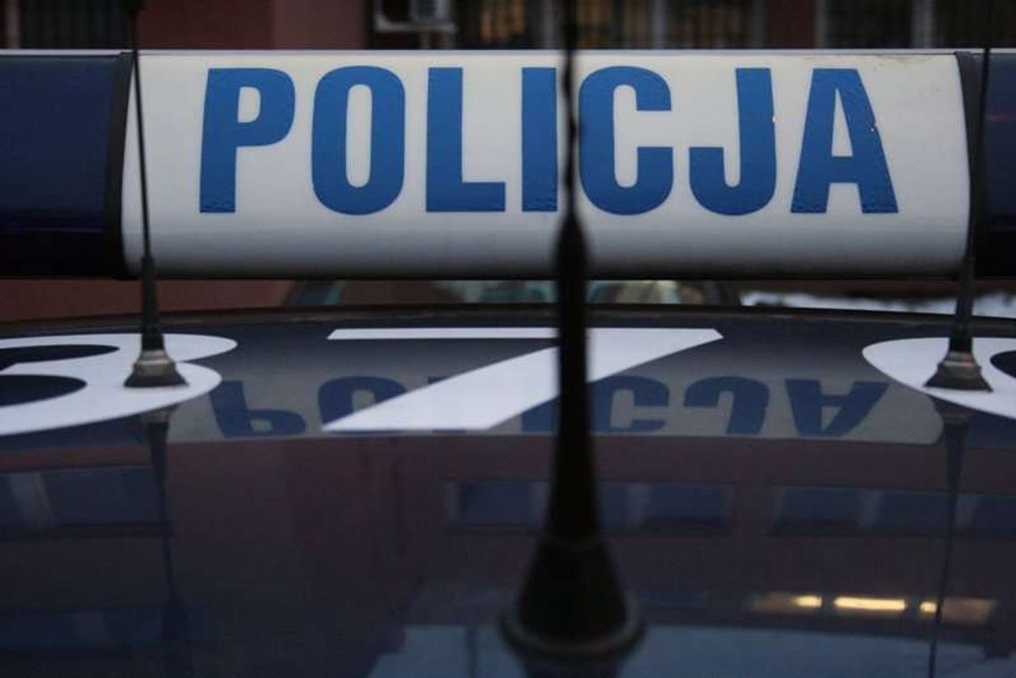 Swastyki zrobione z naklejek. Odpowiedzą za propagowanie faszyzmu