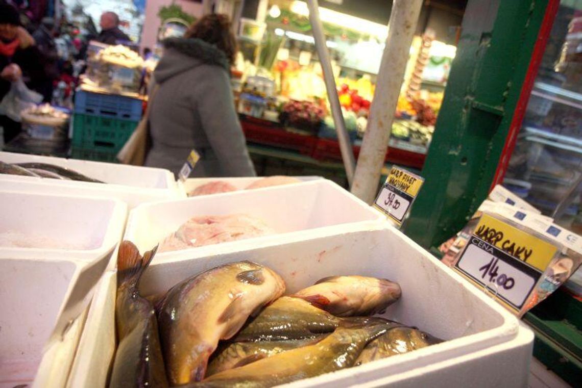 Świąteczne zakupy: Ile zapłacimy za karpie od producenta, na targu lub w markecie