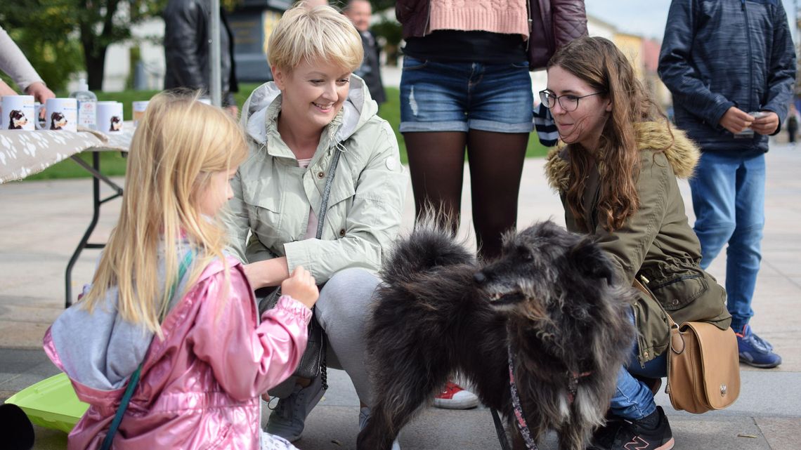 Światowy Dzień Zwierząt w Lublinie. „Wyglądają inaczej – czują tak samo”