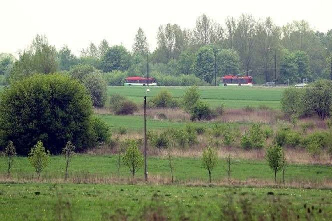 Światowy koncern z gigantyczną inwestycją na Felinie