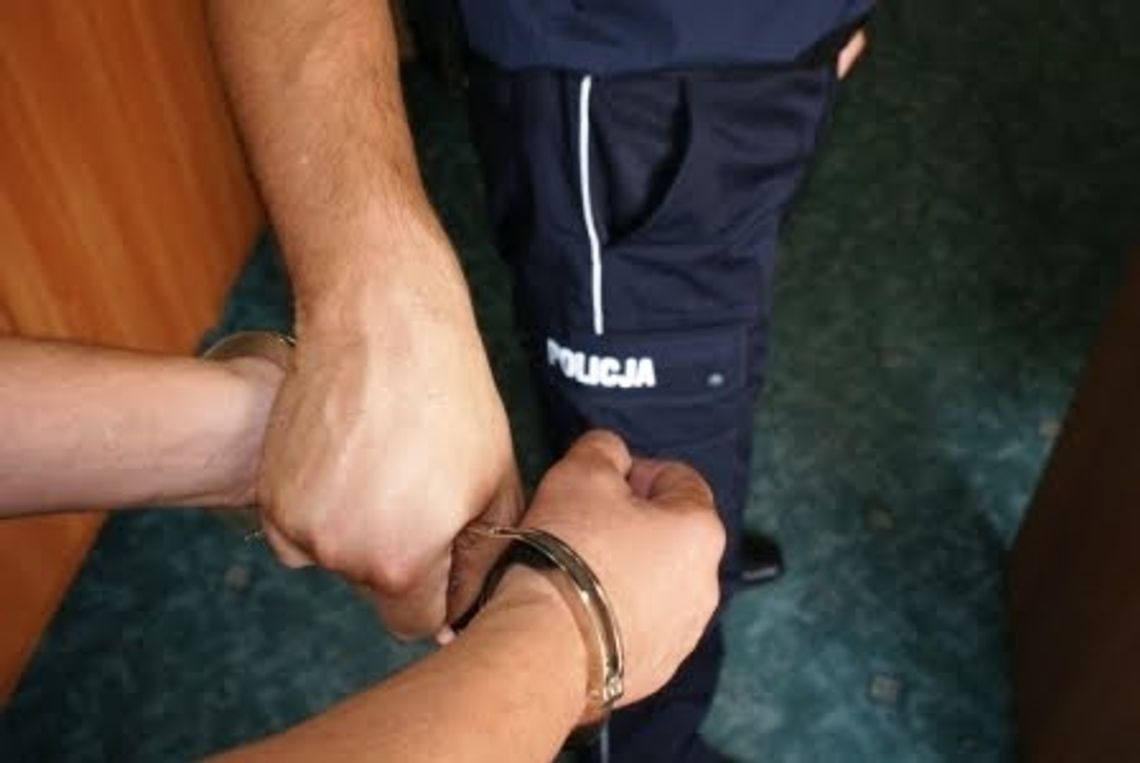 Świdnik: 40-latek włamał się do 10 altanek