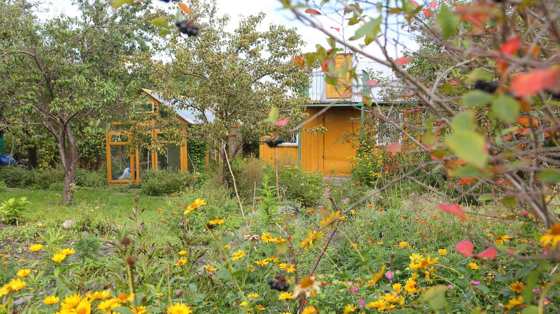 Świdnik: Będą dotacje dla rodzinnych ogrodów działkowych? Świdnik: Będą dotacje dla rodzinnych ogrodów działkowych?