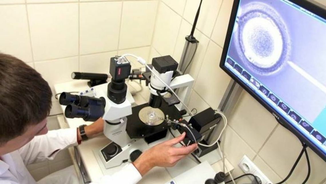 Świdnik: Będzie miejski program in vitro. Tak zdecydowali mieszkańcy