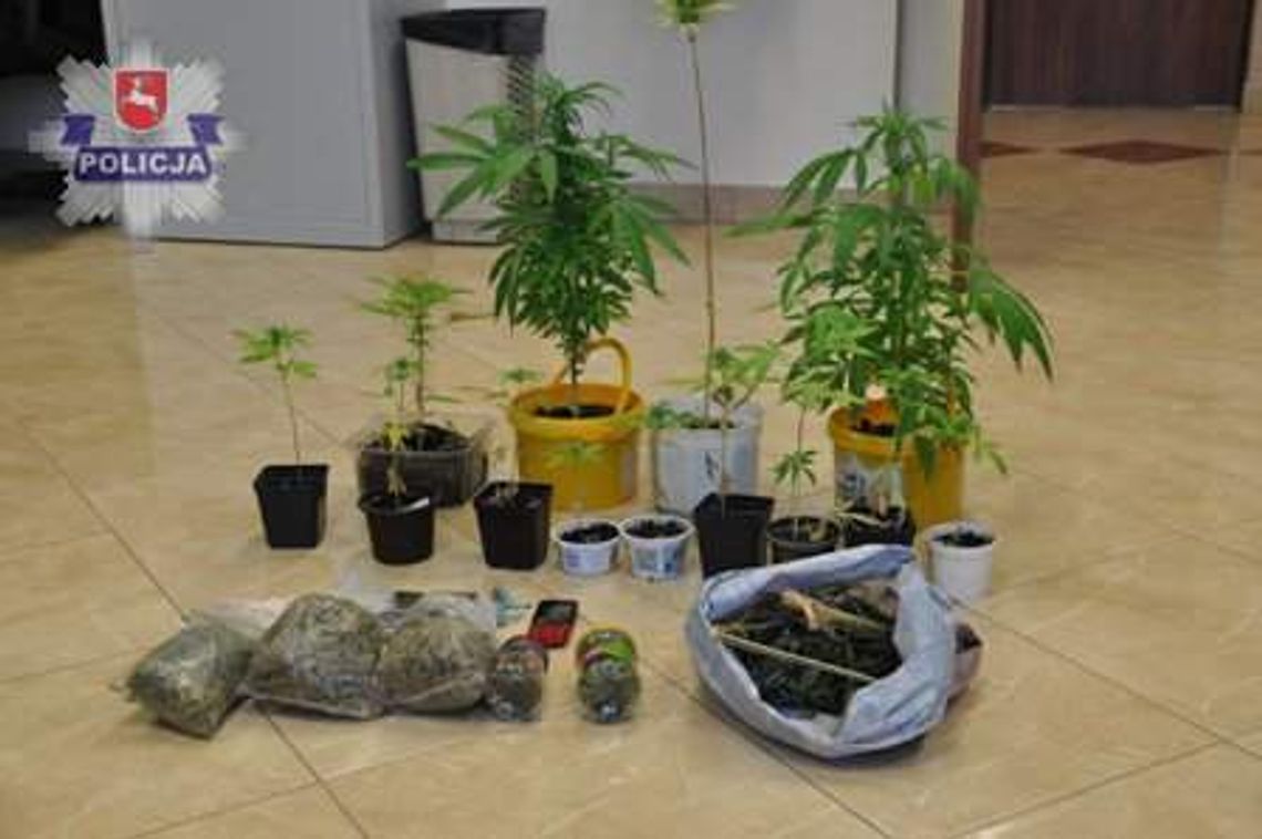 Świdnik: Narkotyki w mieszkaniu nastolatka