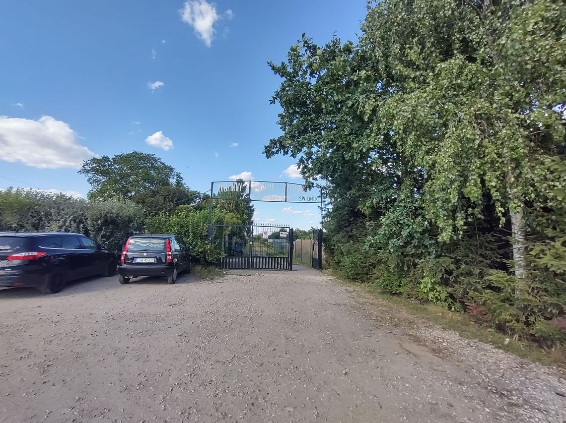 Świdnik: Nerwówka wśród działkowców. Plan zniszczy ich ogrody?