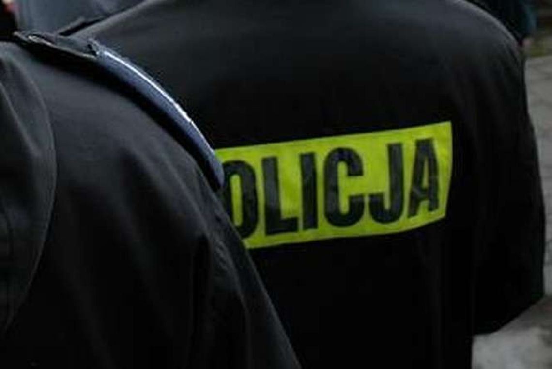 Świdnik: Szukali go całą noc, a on siedział na drzewie