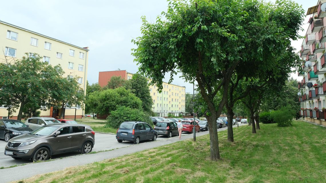 Świdnik: Ul. Witosa będzie remontowana. Obejdzie się bez wycinki Świdnik: Ul. Witosa będzie remontowana. Obejdzie się bez wycinki