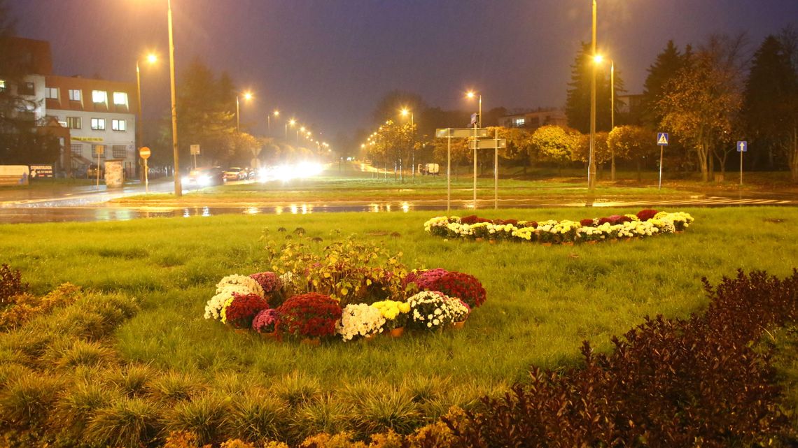 Świdnik. Zamiast na grobach kwitną na rondach