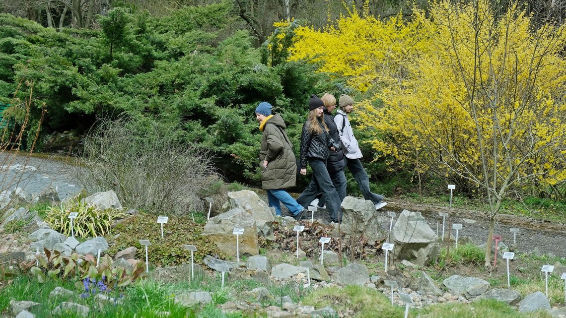 Święto 3 Maja w Lublinie: sarmackie miasteczko i lekcja historii w Ogrodzie Botanicznym UMCS