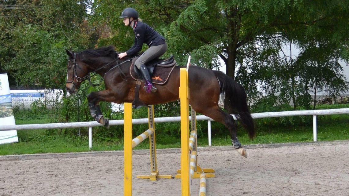 Święto jeździectwa w Lublinie