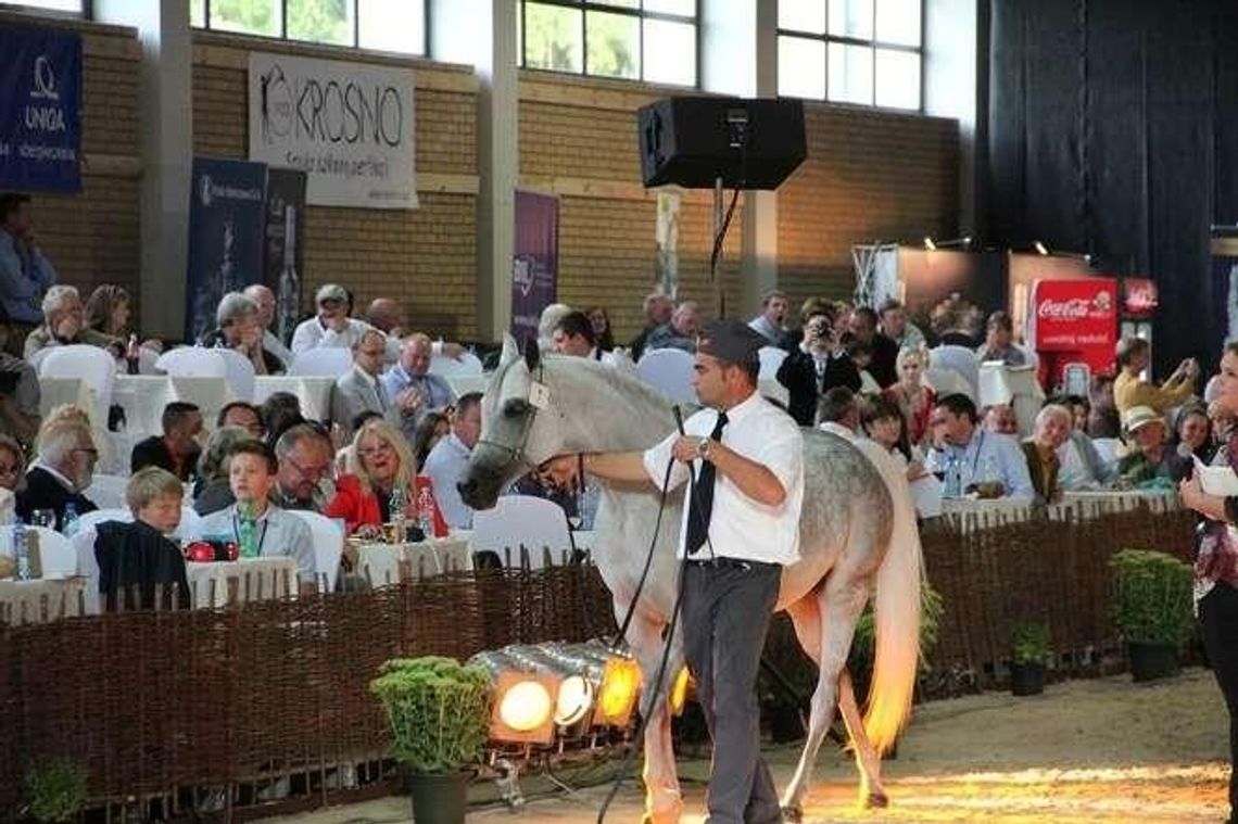 Święto Konia Arabskiego w Janowie Podlaskim. Jest już program