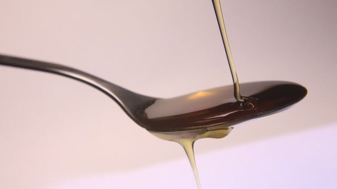 Święto miodu już w niedzielę. Do Lublina przyjadą pszczelarze z całego regionu