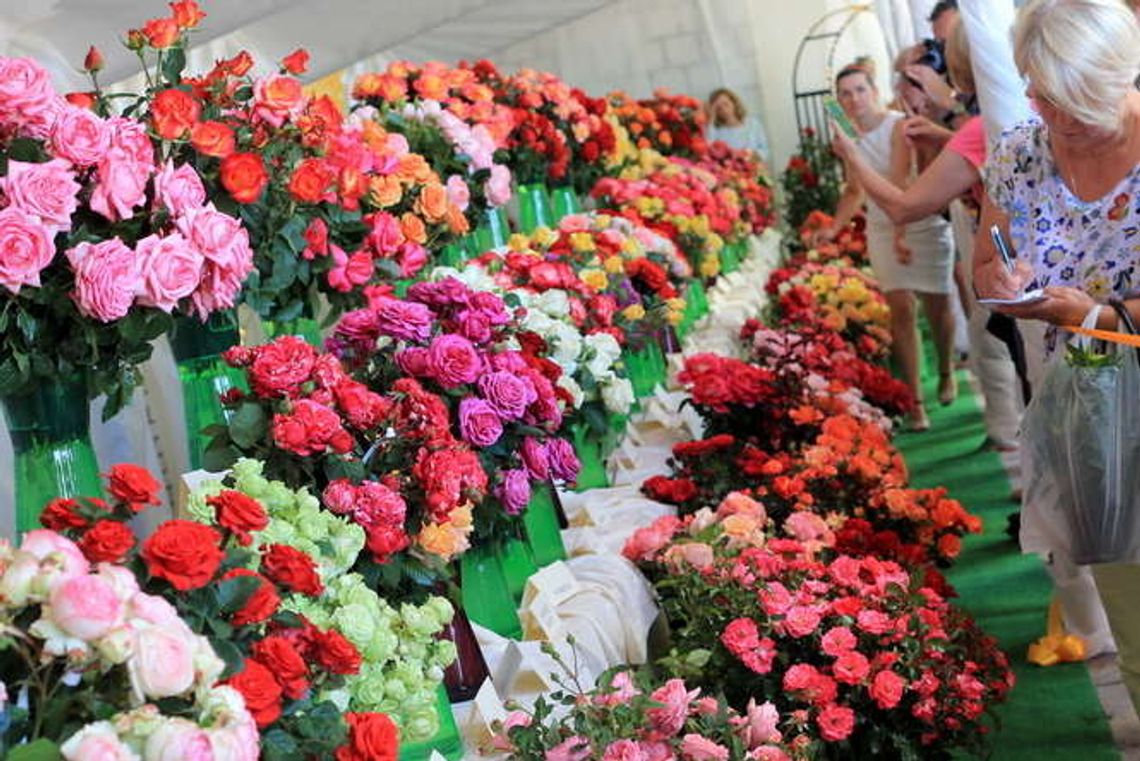 Święto Róż w Końskowoli (zdjęcia)