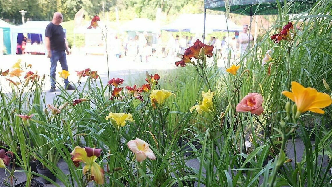 Święto w ogrodzie botanicznym. Jest na czym zawiesić oko