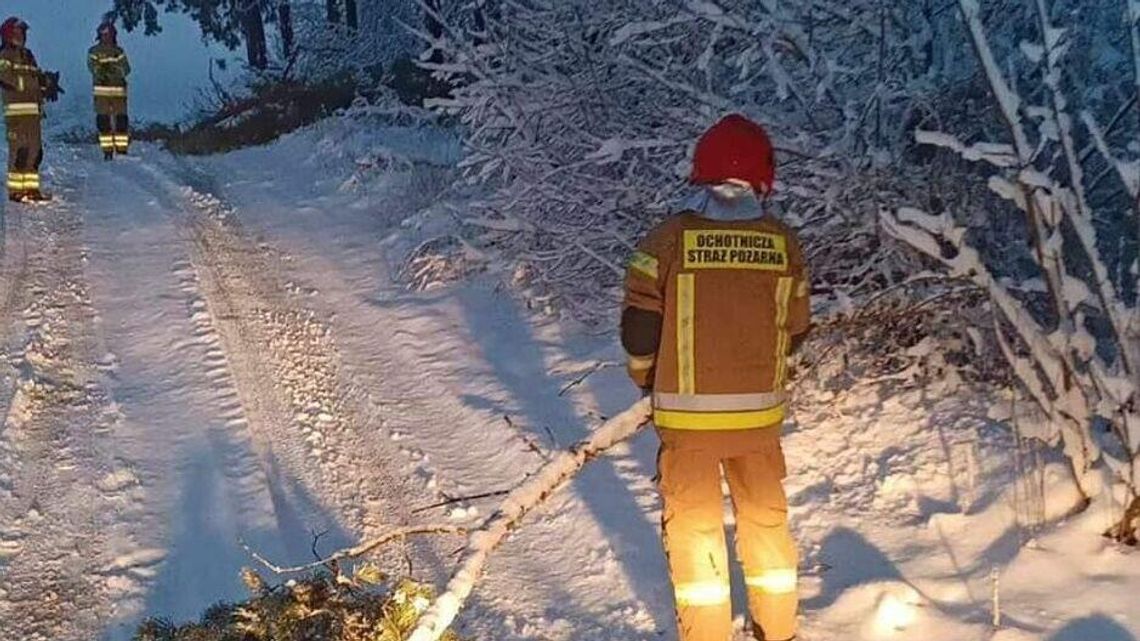Syberyjski mróz idzie do Polski. Sroga zima wróci na dłużej Syberyjski mróz idzie do Polski. Sroga zima wróci na dłużej