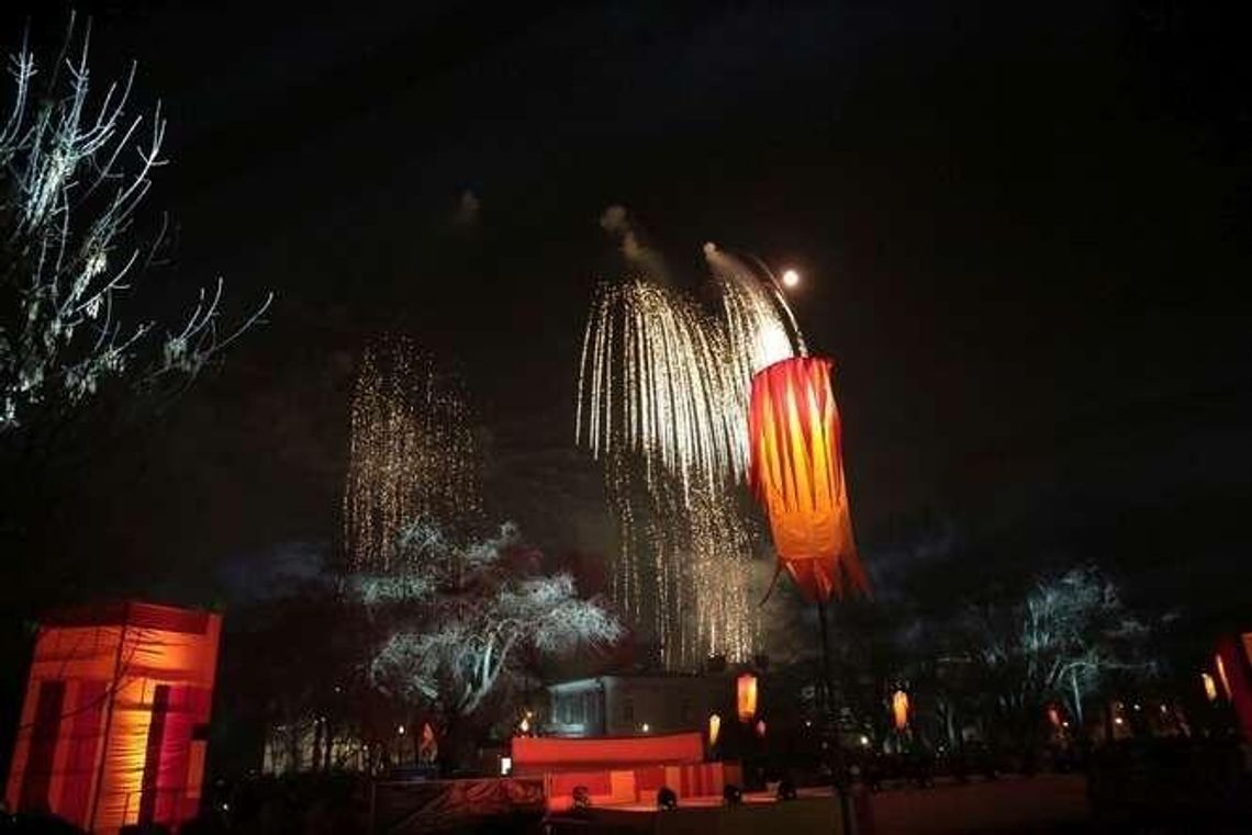 Sylwester w Lublinie: Pokaz sztucznych ogni na pl. Litewskim (wideo)